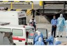 Possible hantavirus case not linked to MV Hondius ship investigated in Illinois